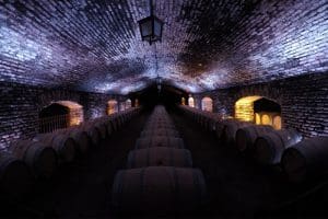 Viña Concha y Toro Bodega Tradicional & Mercado Origen - Turistik