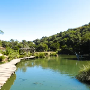 Tour a Parque Tricao