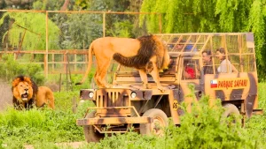 Parque Safari